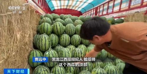 吃瓜炸裂 2025最新热点素材